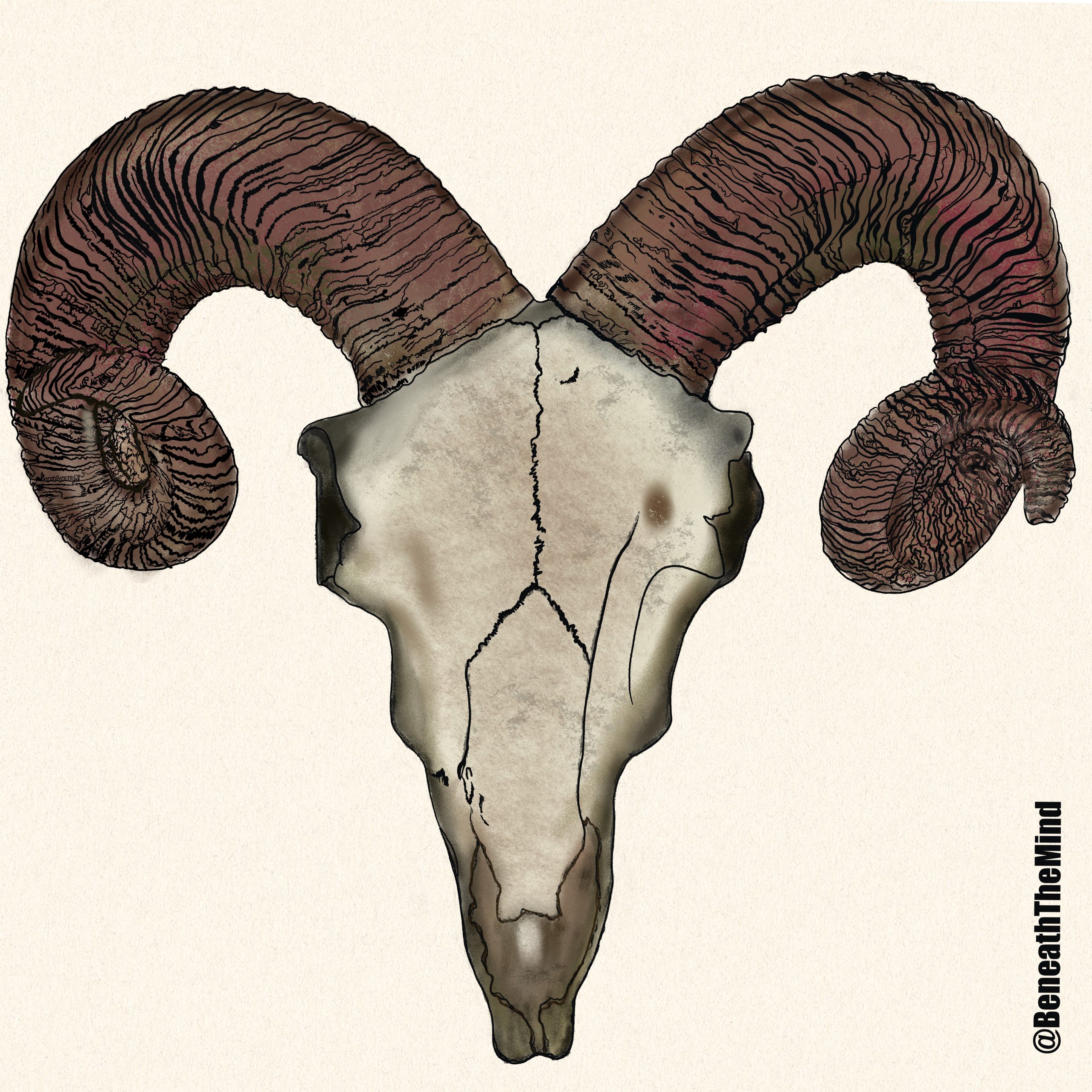 Ram_Skull_Sticker
