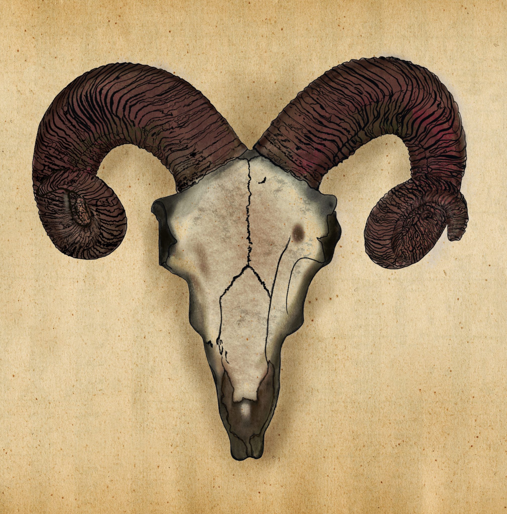 The Guardian of the Mountain. A symbol of strength, resilience, and deep connection to nature.