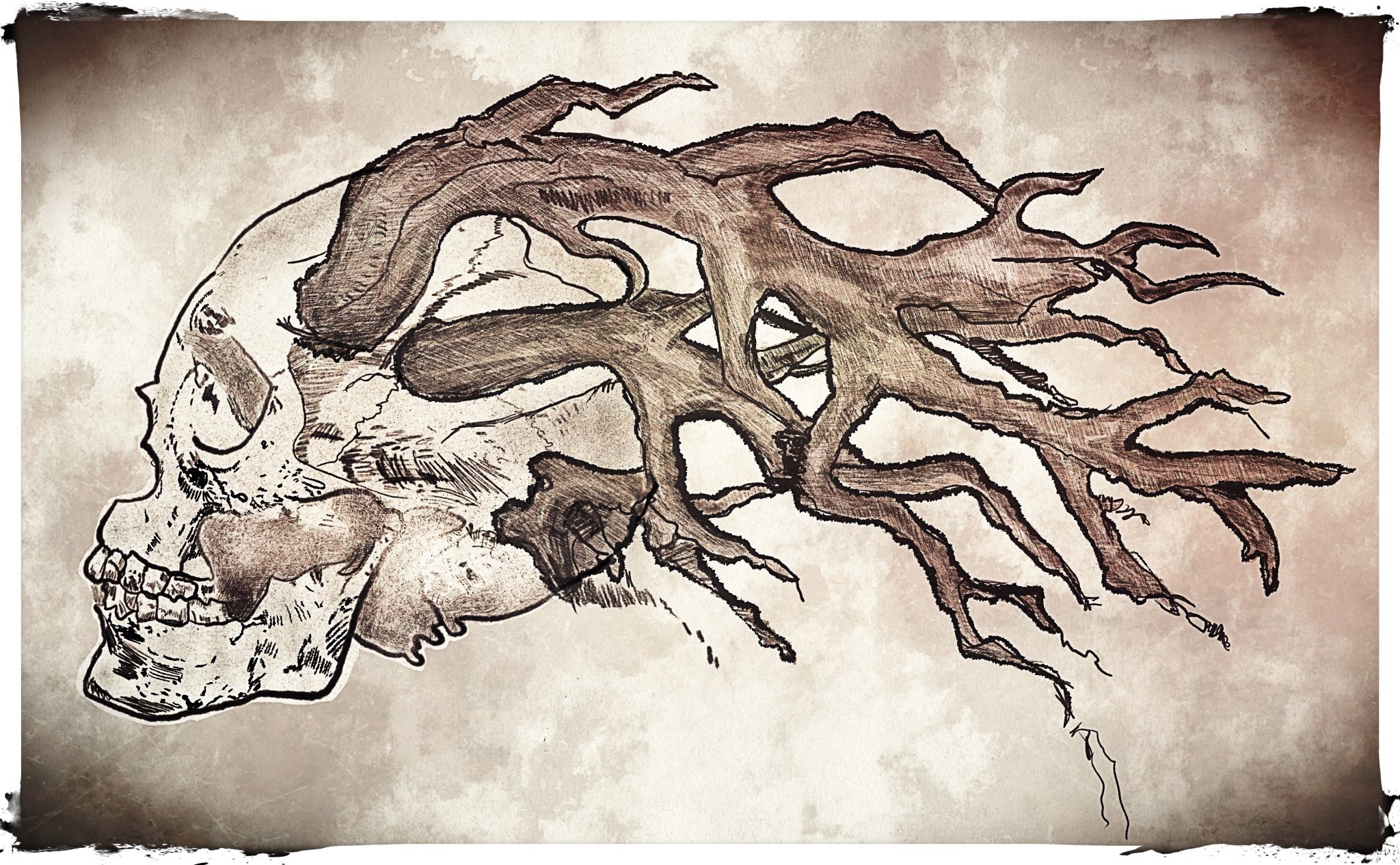 Captain of the Forest