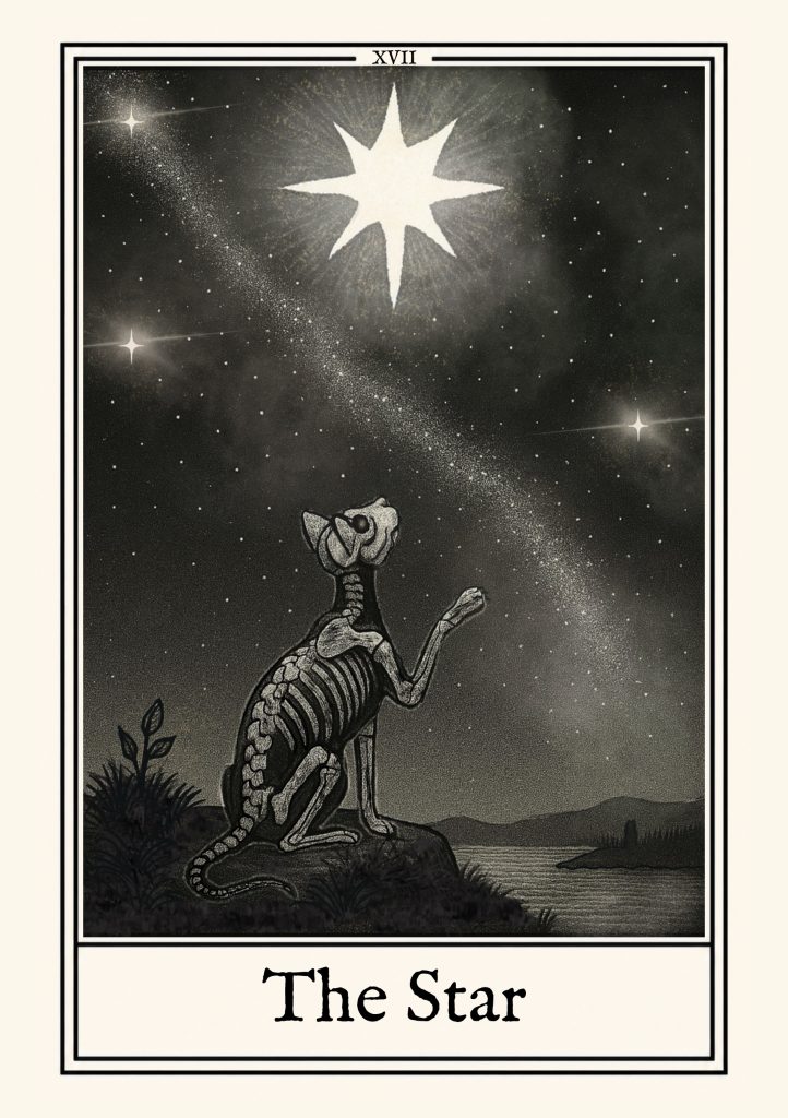 Star_Remastered_2026-07-04
